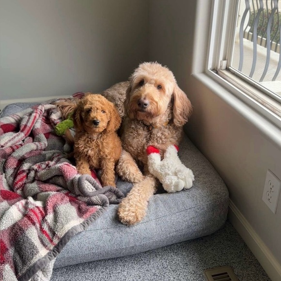 No Theme Share Show TBA - Picture 6 of 7